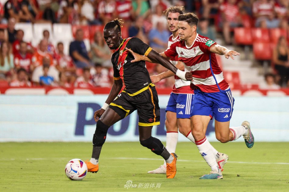 国家队主力 国家队主力