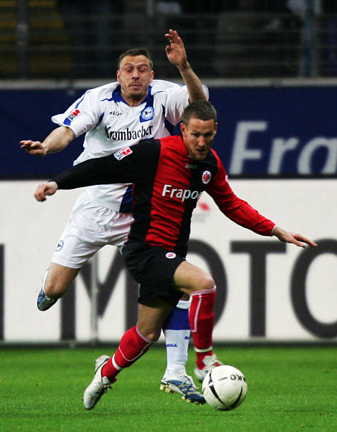 稳定与和谐 稳定与和谐